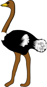 Ostrich